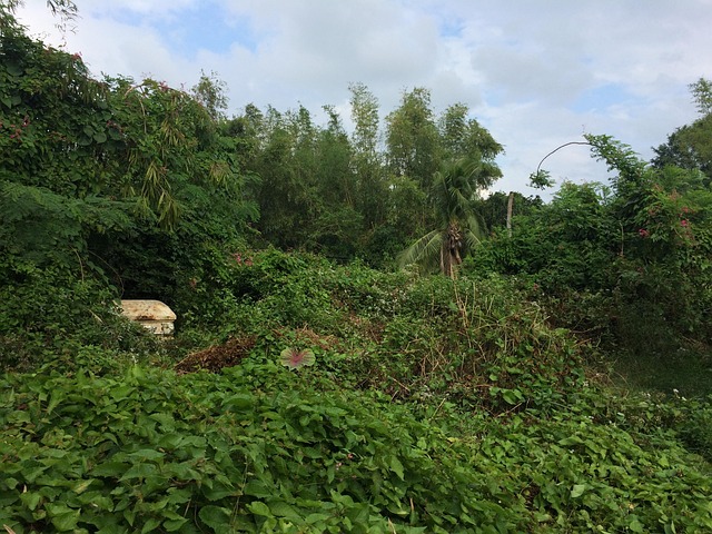 Bag kulissen hos bedemanden: Et liv med omsorg og respekt