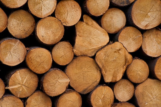 Undgå farlige situationer: De mest almindelige fejl ved træfældning