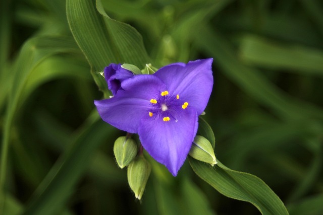 Skøde, refusionsopgørelse og rådgivning: Derfor bør du vælge en boligadvokat